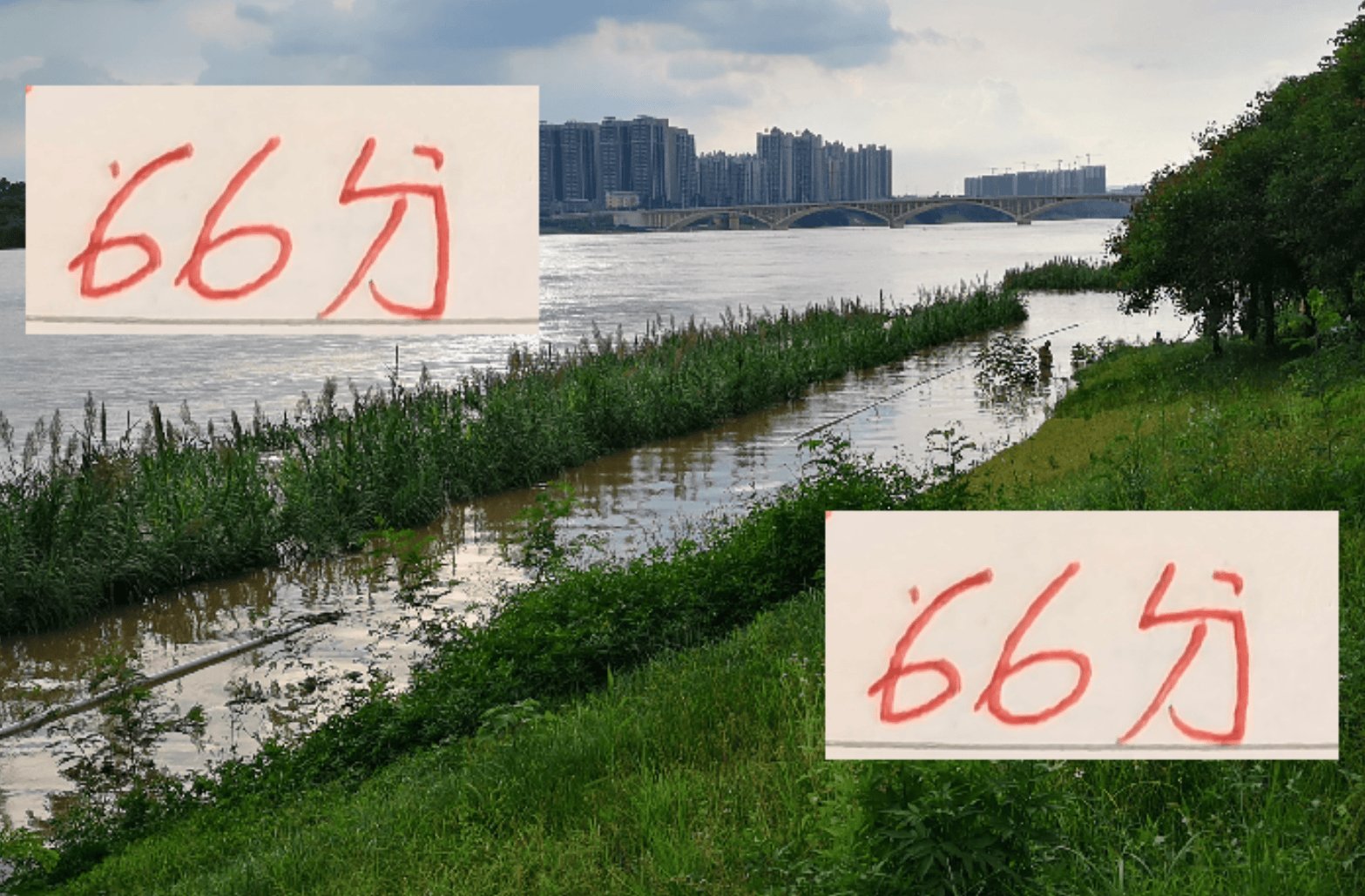 คะแนนเต็มคือ 100! แม้จะได้คะแนน 66 คะแนน พอร์ตยังคงเป็นอันดับหนึ่งในสามทีมที่ผ่านการทดสอบ