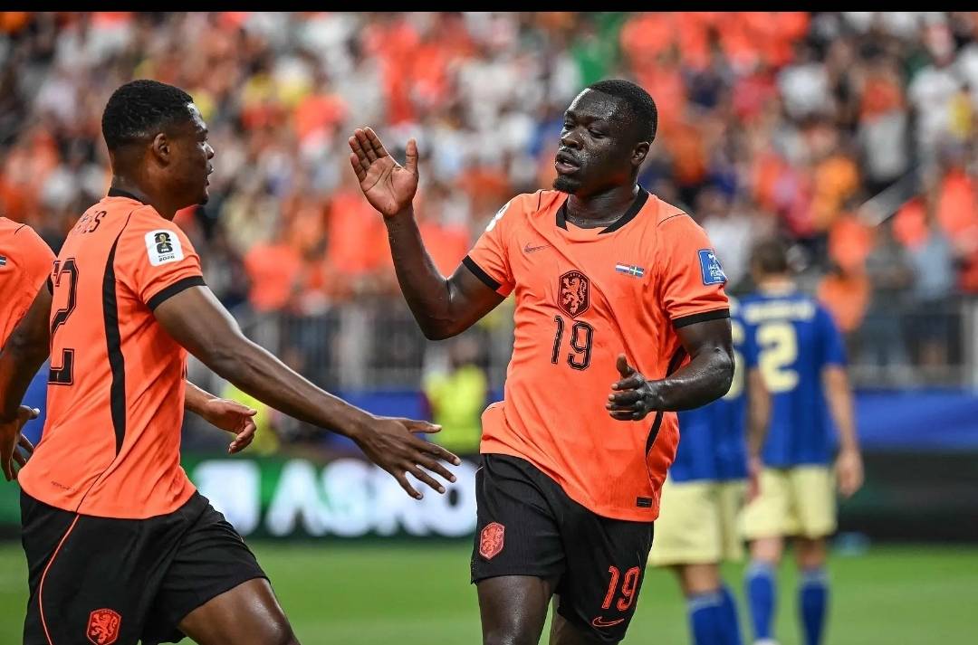 文章配图-4